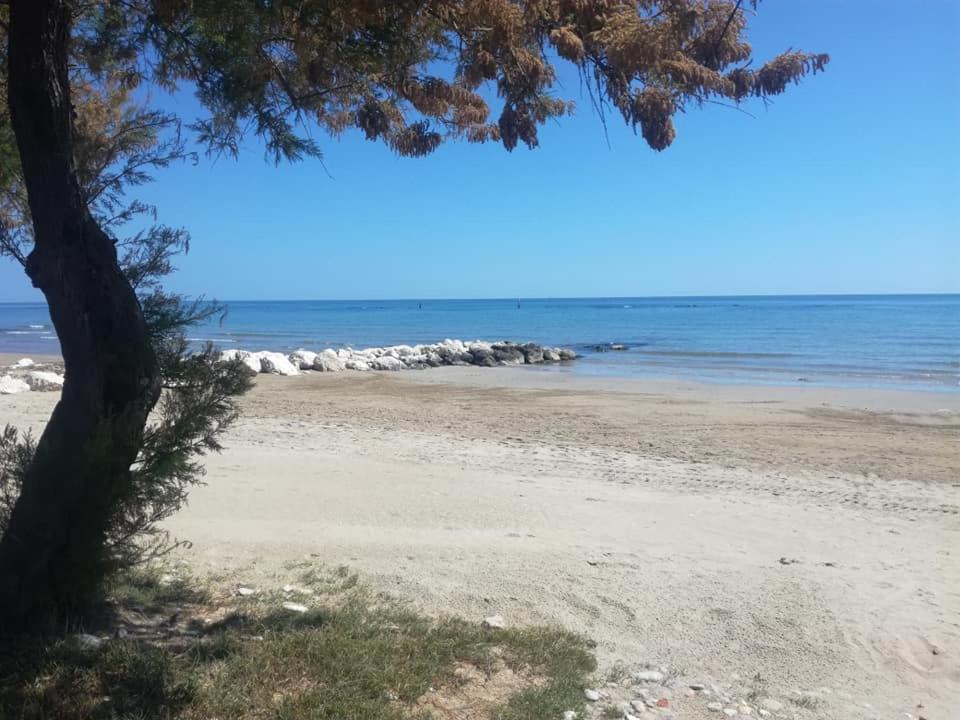 Apartahotel Il Triangolo